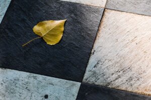leaf, tiles, floor, autumn, nature, tiles, tiles, tiles, tiles, floor, floor, floor, floor, floor